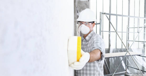 Why You Should Choose Our Mold Remediation Services in Broadmoor, CA