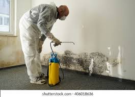 Trusted Broadmoor, CA Mold Removal Experts